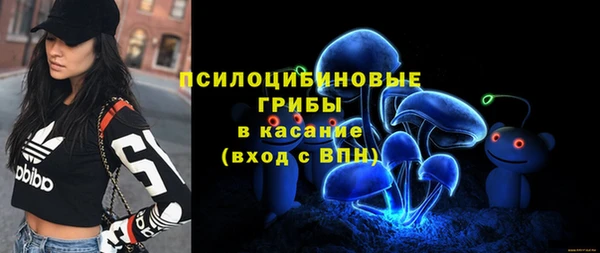 гидра Новодвинск