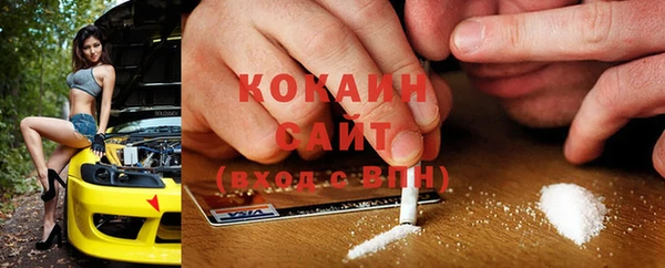 ешки Алексин