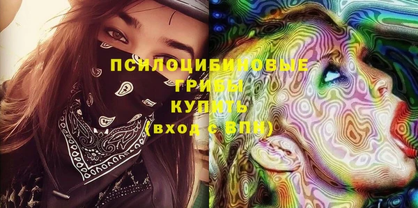 герыч Арсеньев