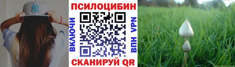Галлюциногенные грибы MAGIC MUSHROOMS  наркота  Мышкин 